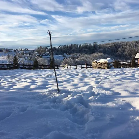 شاليه Masine Kolibe بير