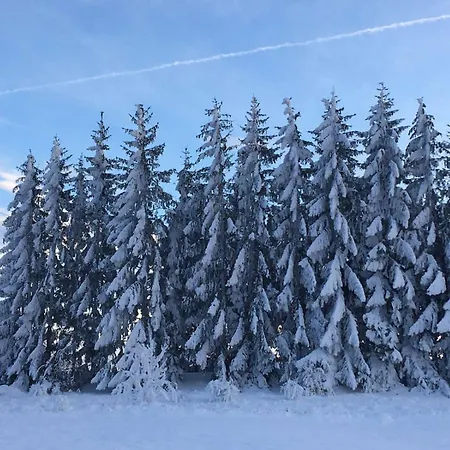 Masine Kolibe Alpehytte Kaludjerske Bare