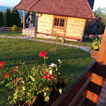 Masine Kolibe * بير